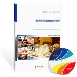 旗訊網(wǎng)技術(shù)咨詢項(xiàng)目商業(yè)計(jì)劃書